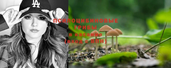 ПСИЛОЦИБИНОВЫЕ ГРИБЫ Абдулино
