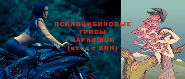 стаф Абинск