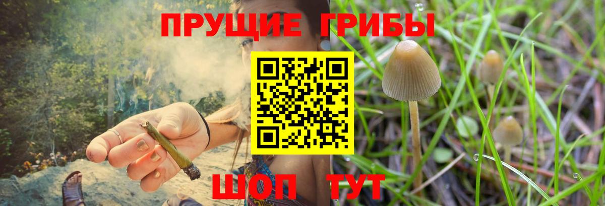 Псилоцибиновые грибы Cubensis  где можно купить наркотик  Симферополь  Вход с VPN 