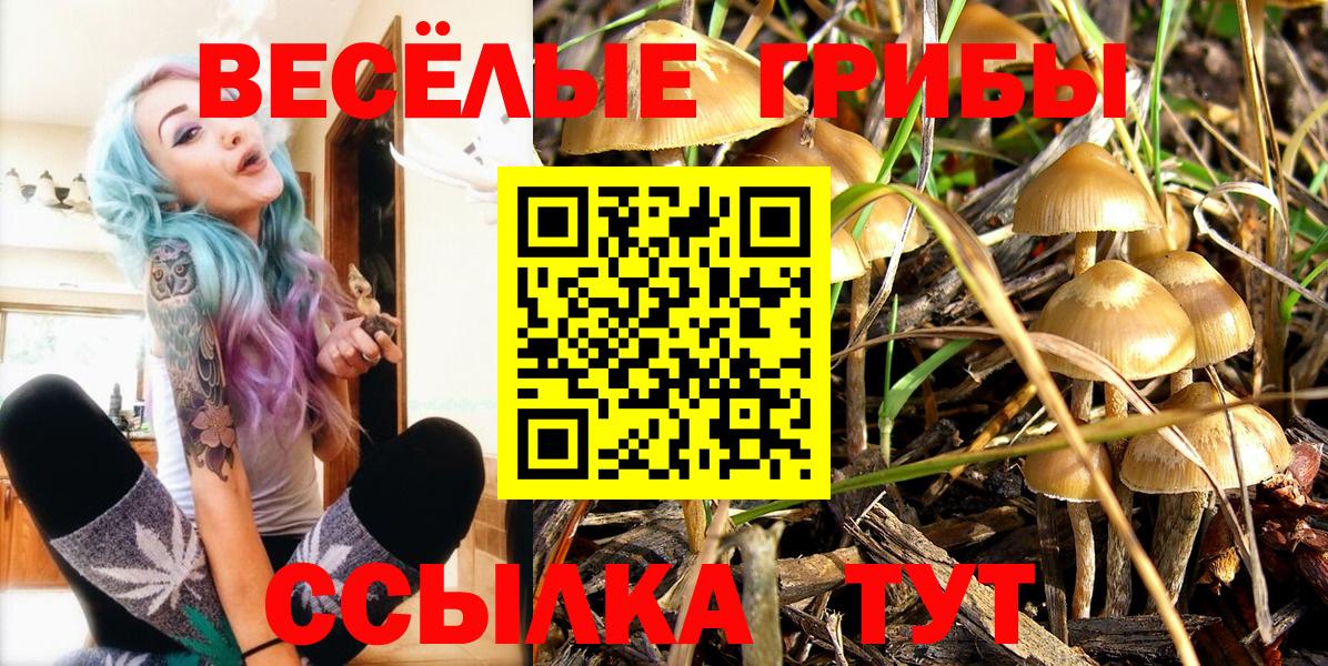 Псилоцибиновые грибы ЛСД Симферополь